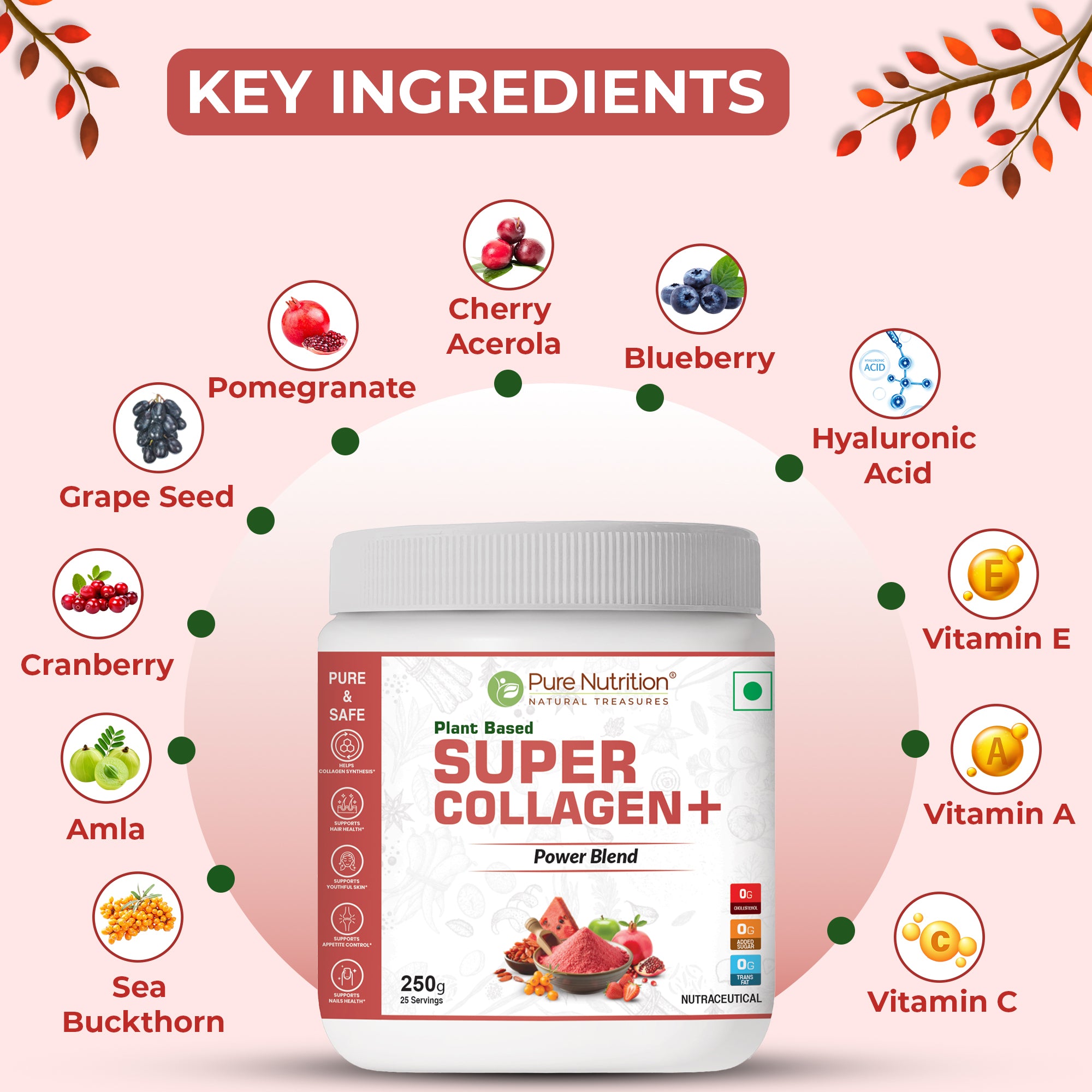 Plant-Based Super Collagen+ – Skin, Hair & Nail Health | Vegan Formula 2