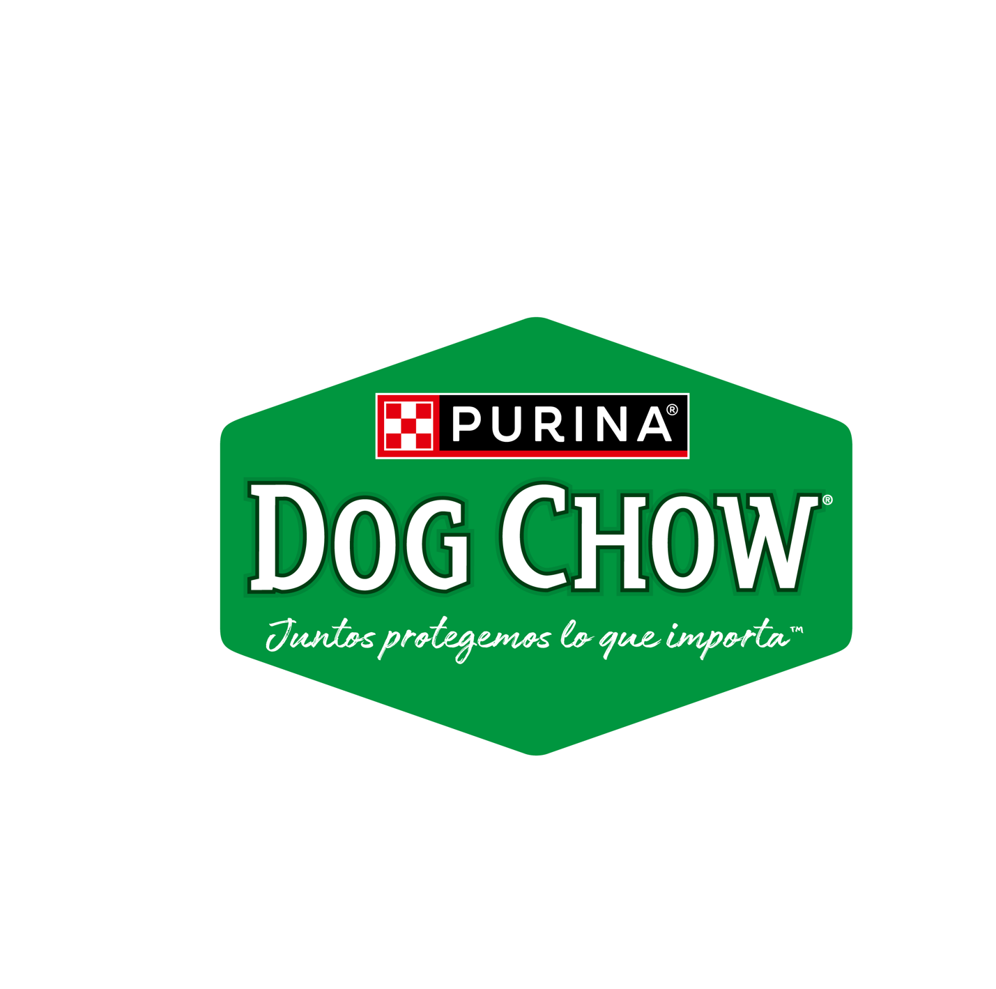 Comida a Granel Dog Chow 1 Kg. 