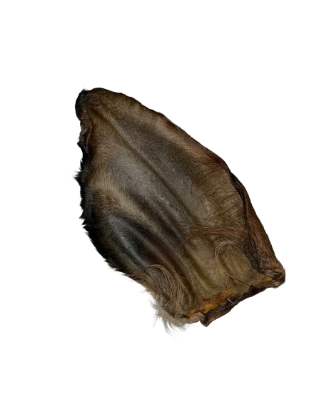 Oreja peluda de res 