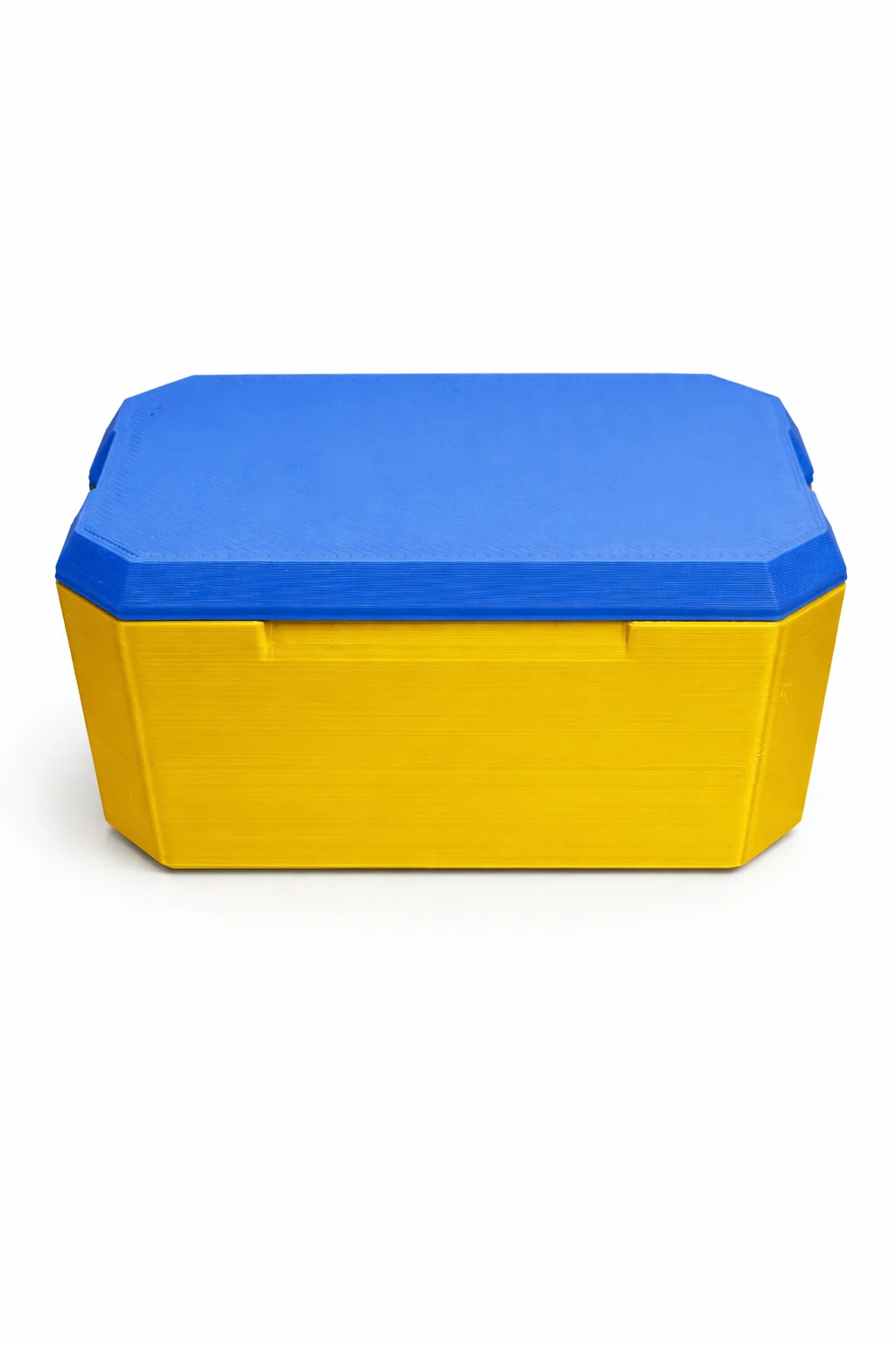 Blue & Gold 10 Vial Storage Case – Magnetic Lid Secure Organizer 2