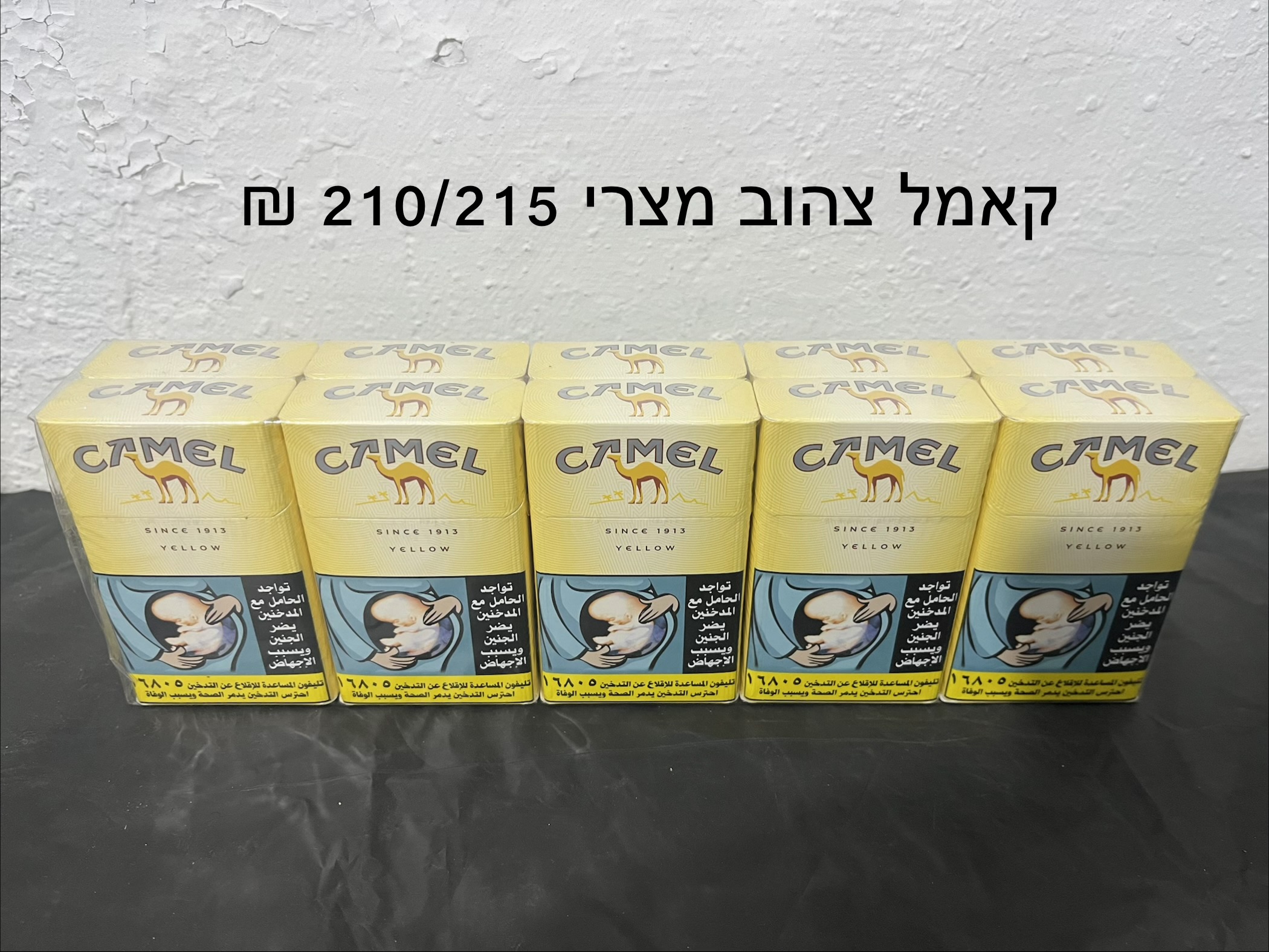 קאמל צהוב מצרי 210 ₪