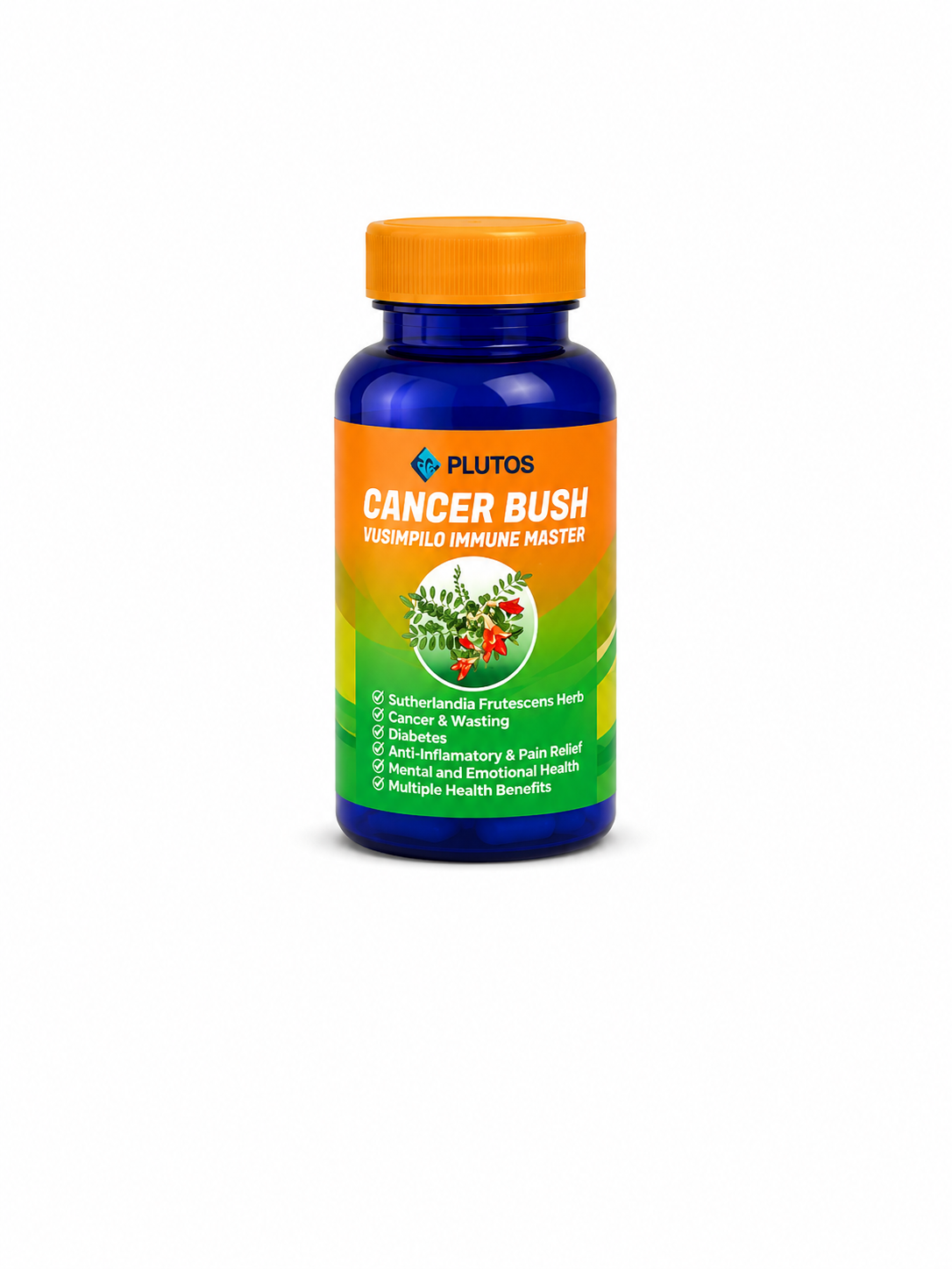 CANCER BUSH CAPSULES (VUSIMPILO) (60 CAPSULES)
