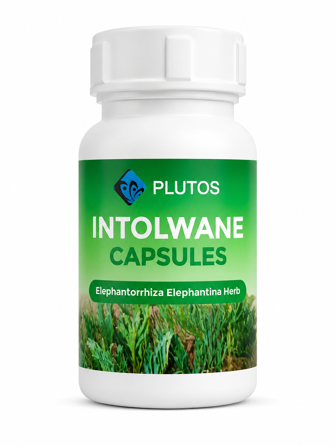 INTOLWANE CAPSULES (60)
