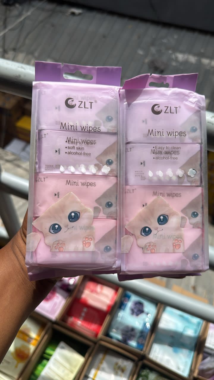 Mini Wipes 