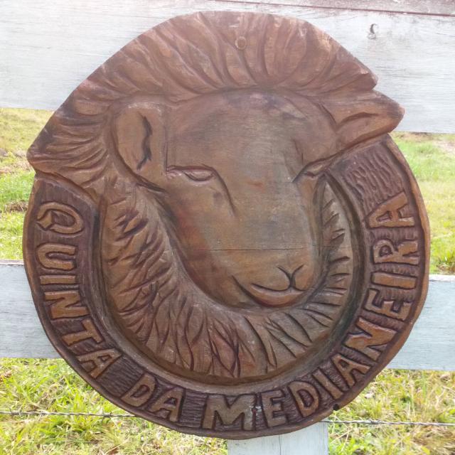 Quinta da Medianeira logo