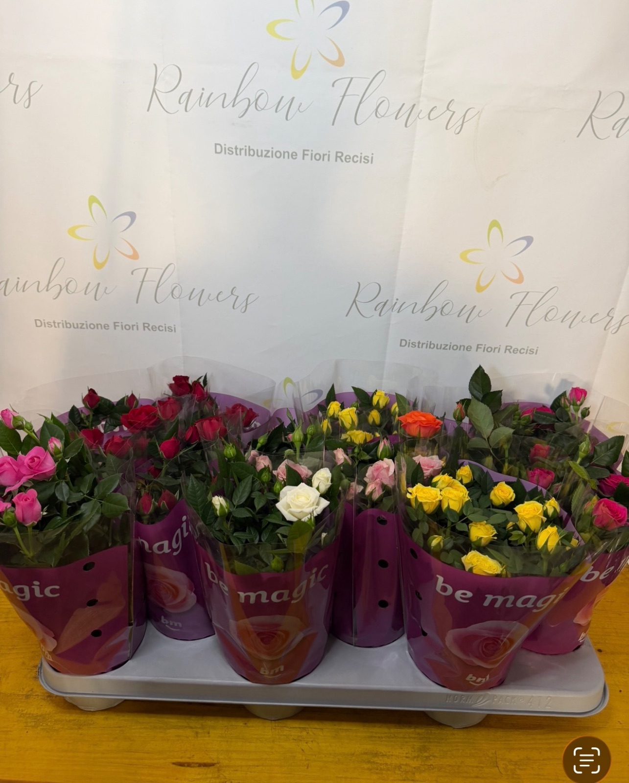 Rosellina mix 