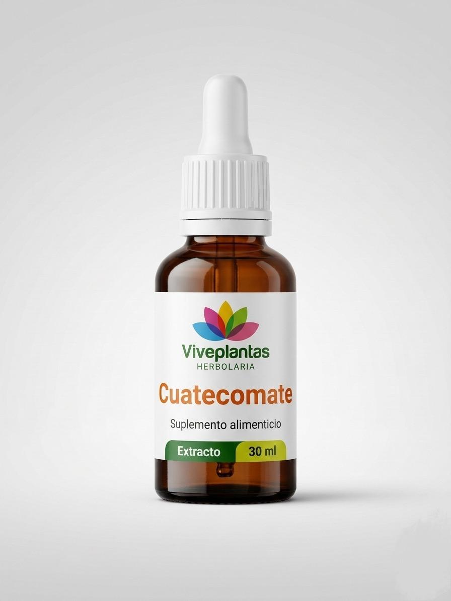 Cuatecomate - Image 1