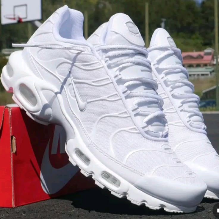 TN WHITE