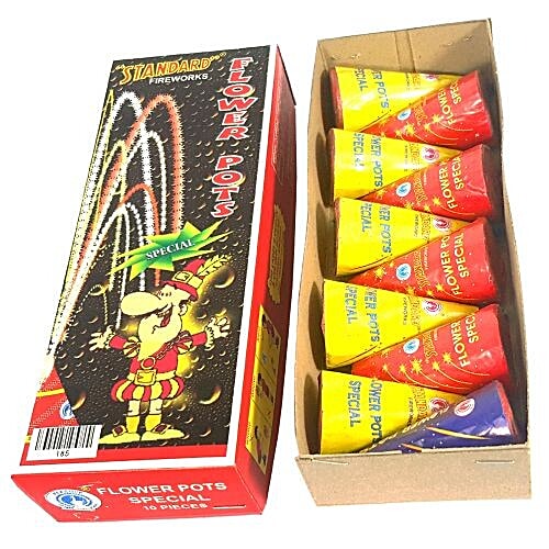 Flower Pots Special(Medium size-10pcs)