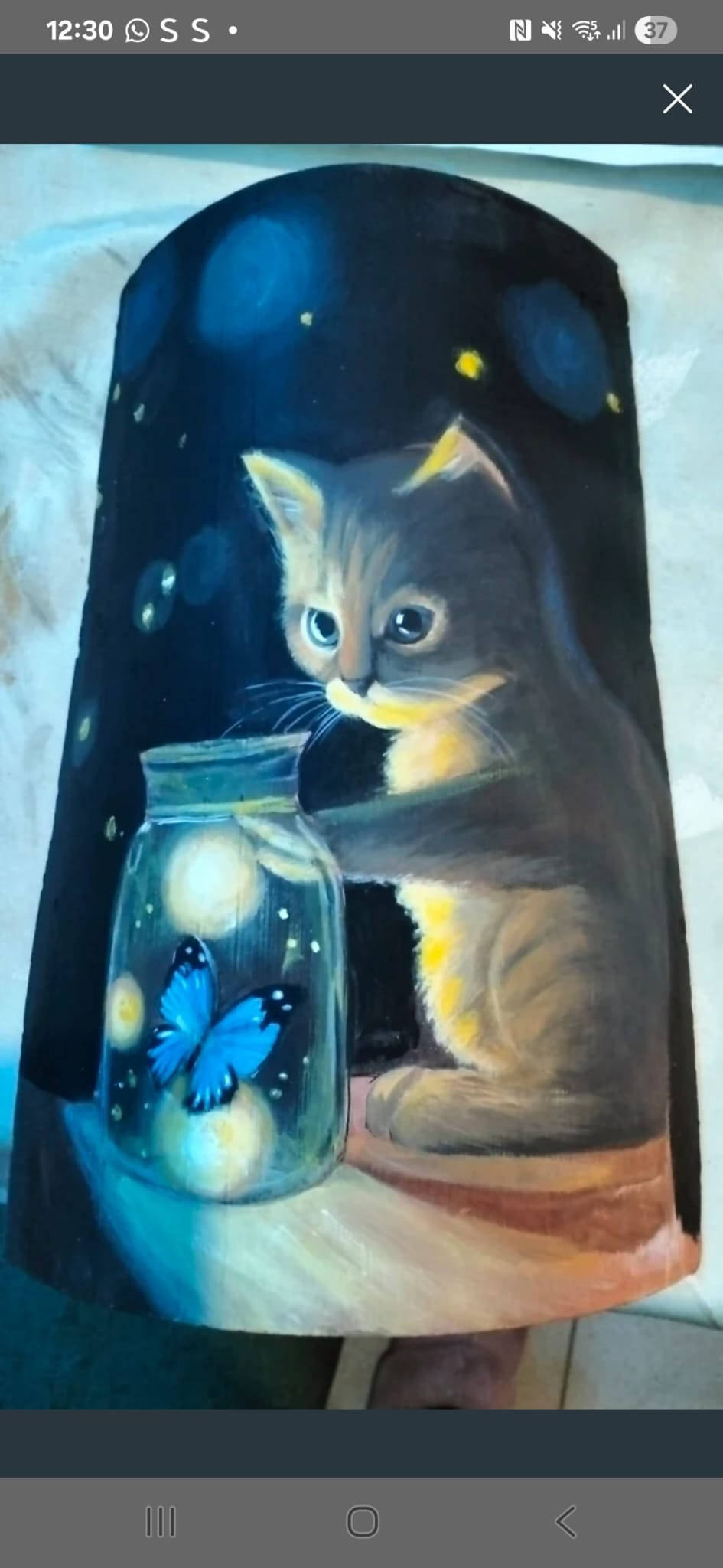Gato 