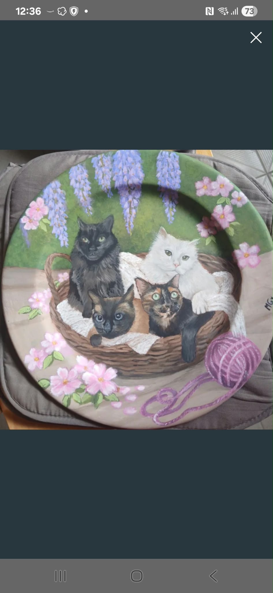 Gatos.