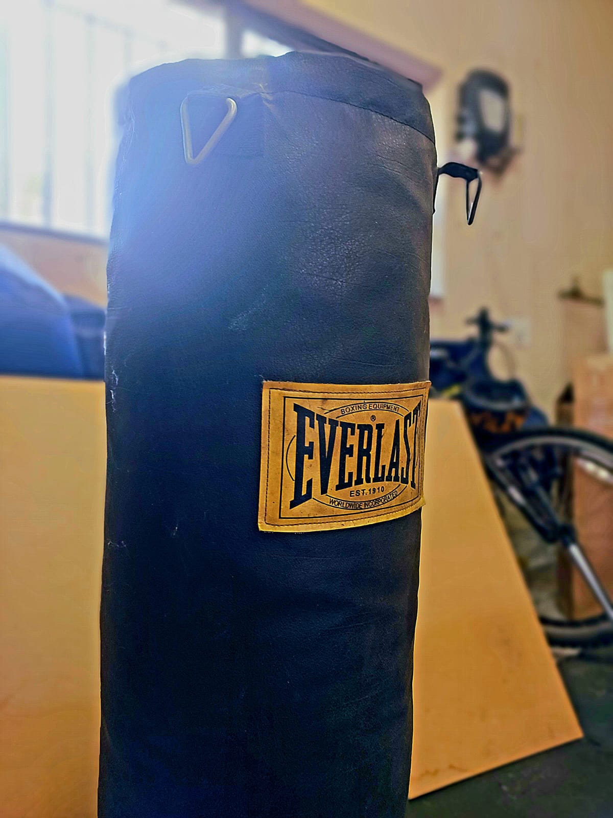 Everlast punching bag (Used- good condition)