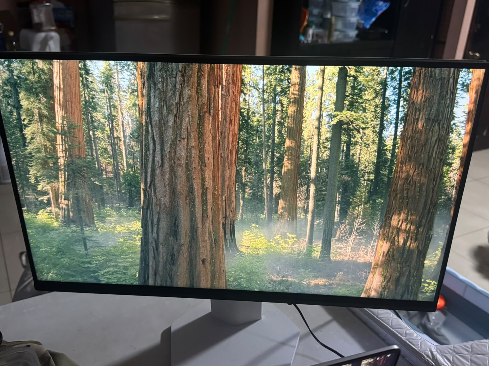 Monitor de 24”