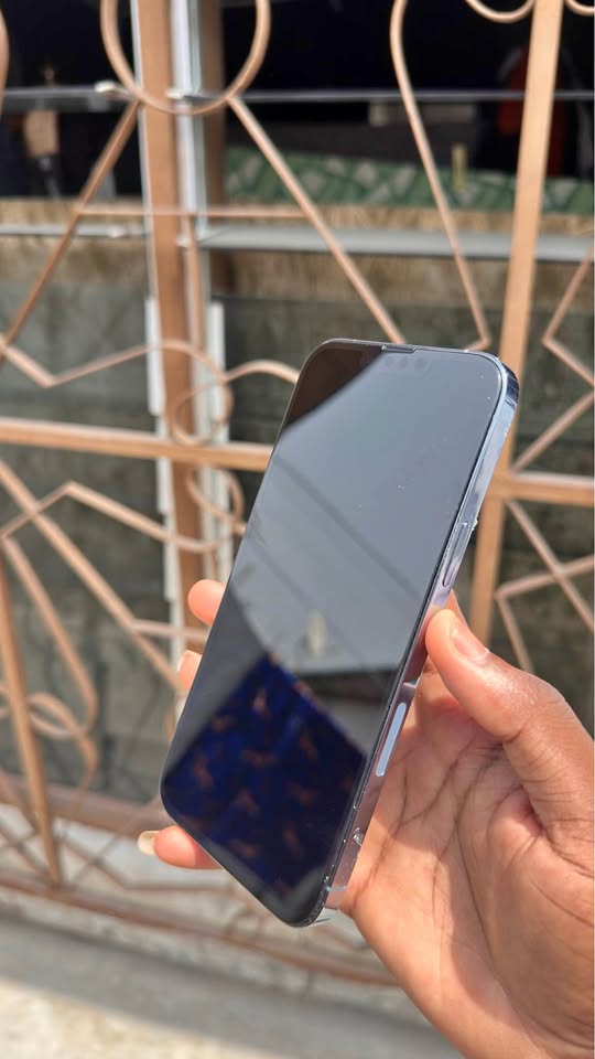 IPHONE 13 PRO MAX 2