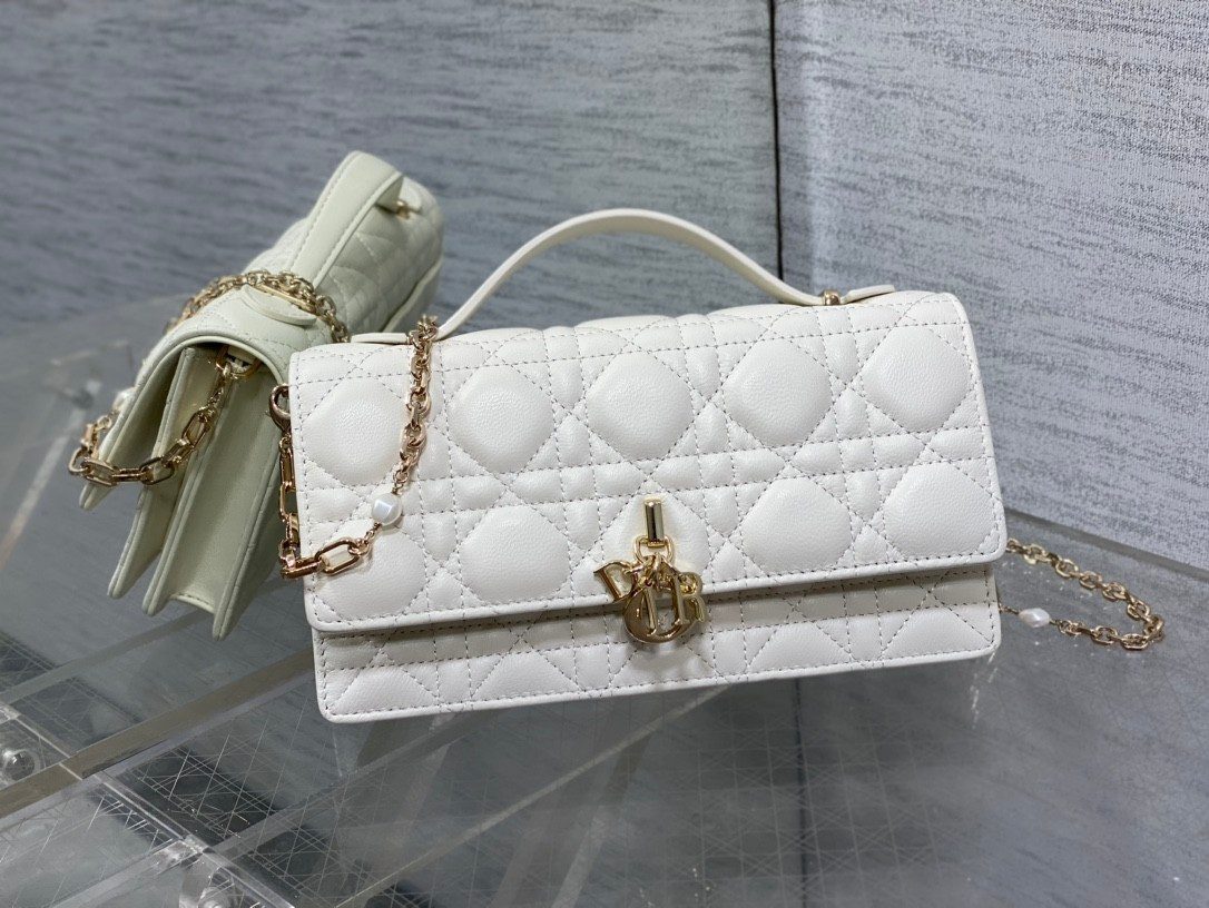 Designer Bag 5