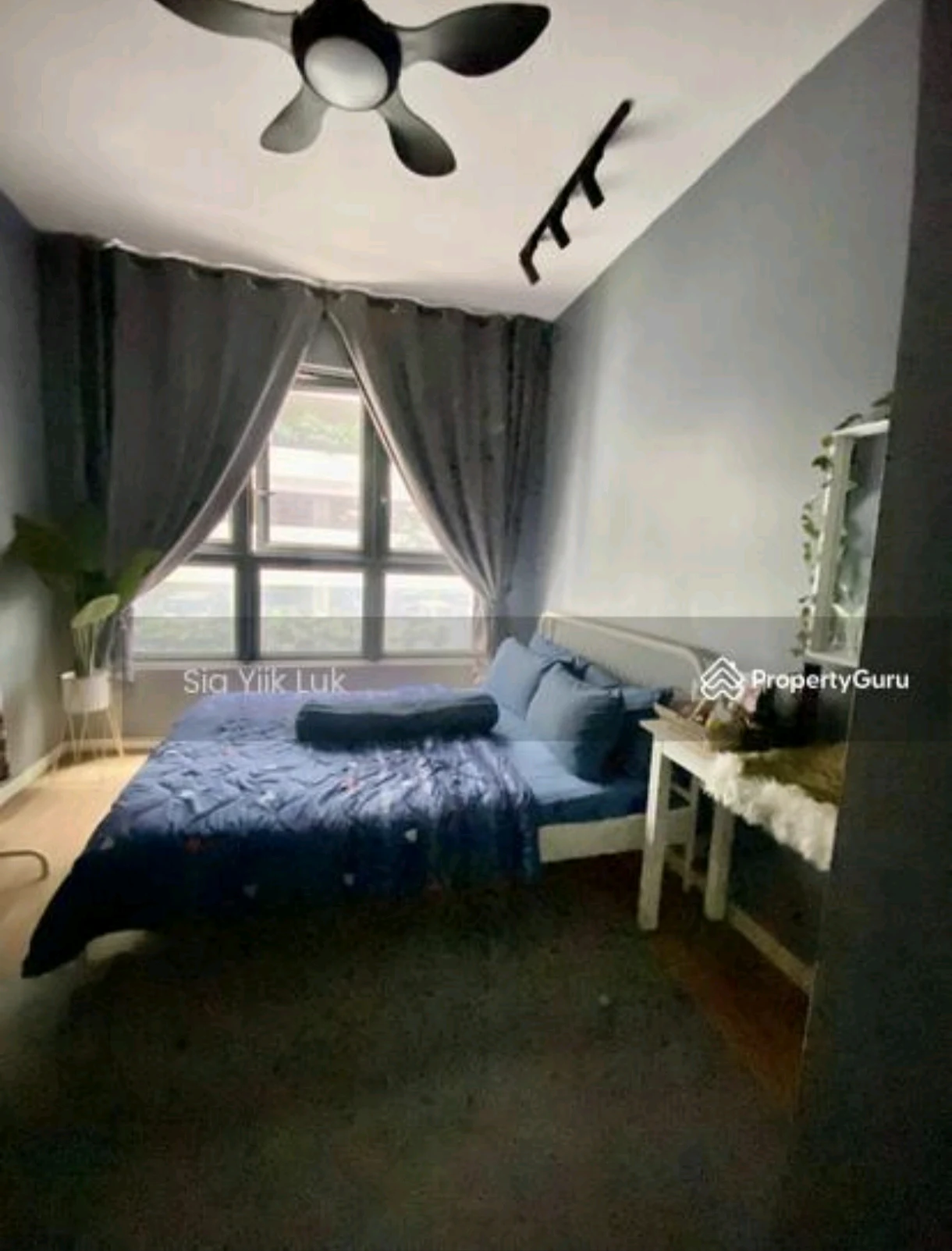 Main view of Mvertica