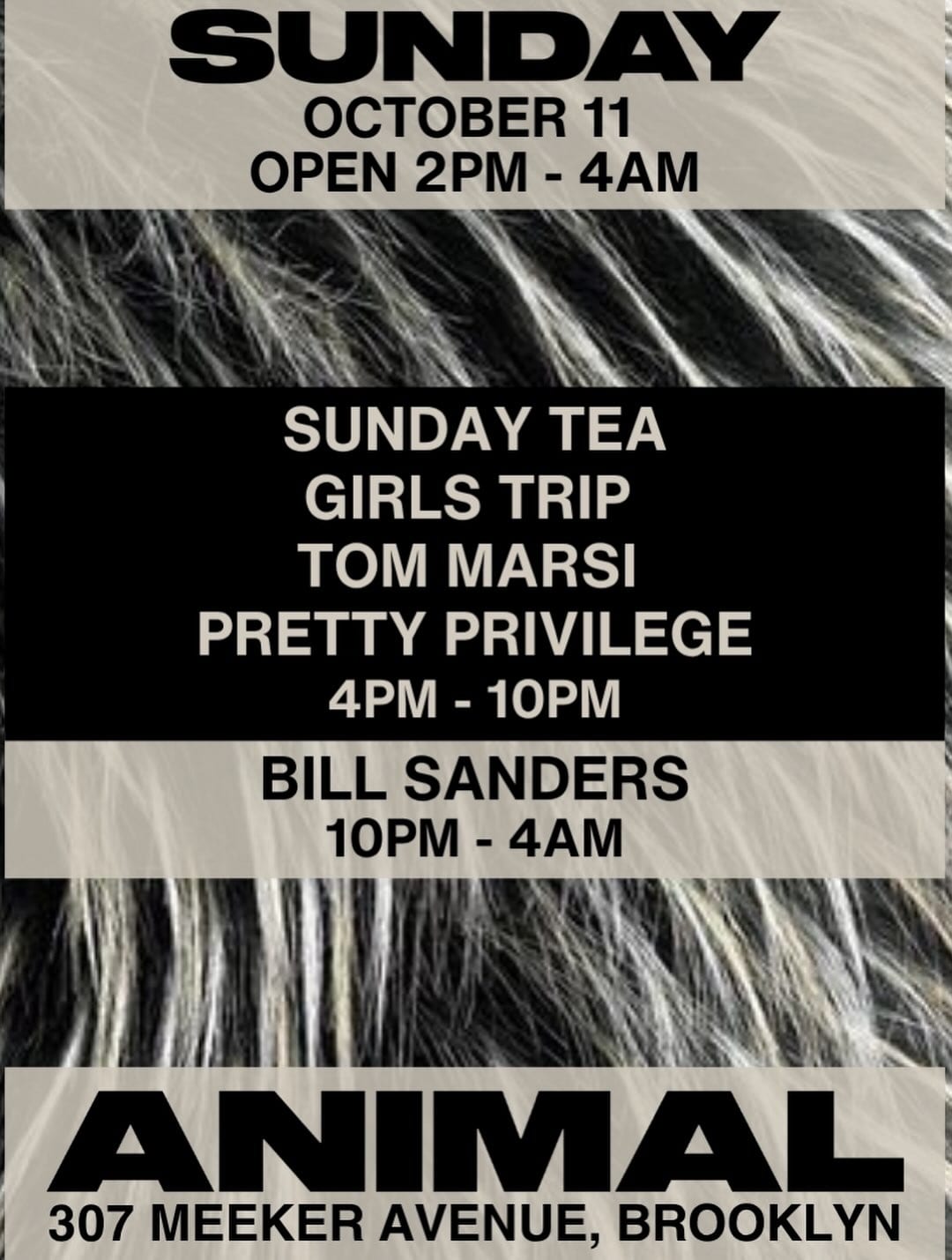 ANIMAL Sunday GIRLS TRIP w/ Tom Marsi, Pretty Privilege, Bill Sanders flyer