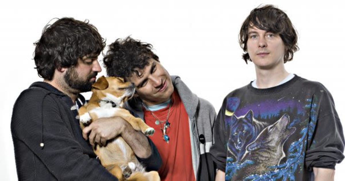Animal Collective Performs Feels Live flyer