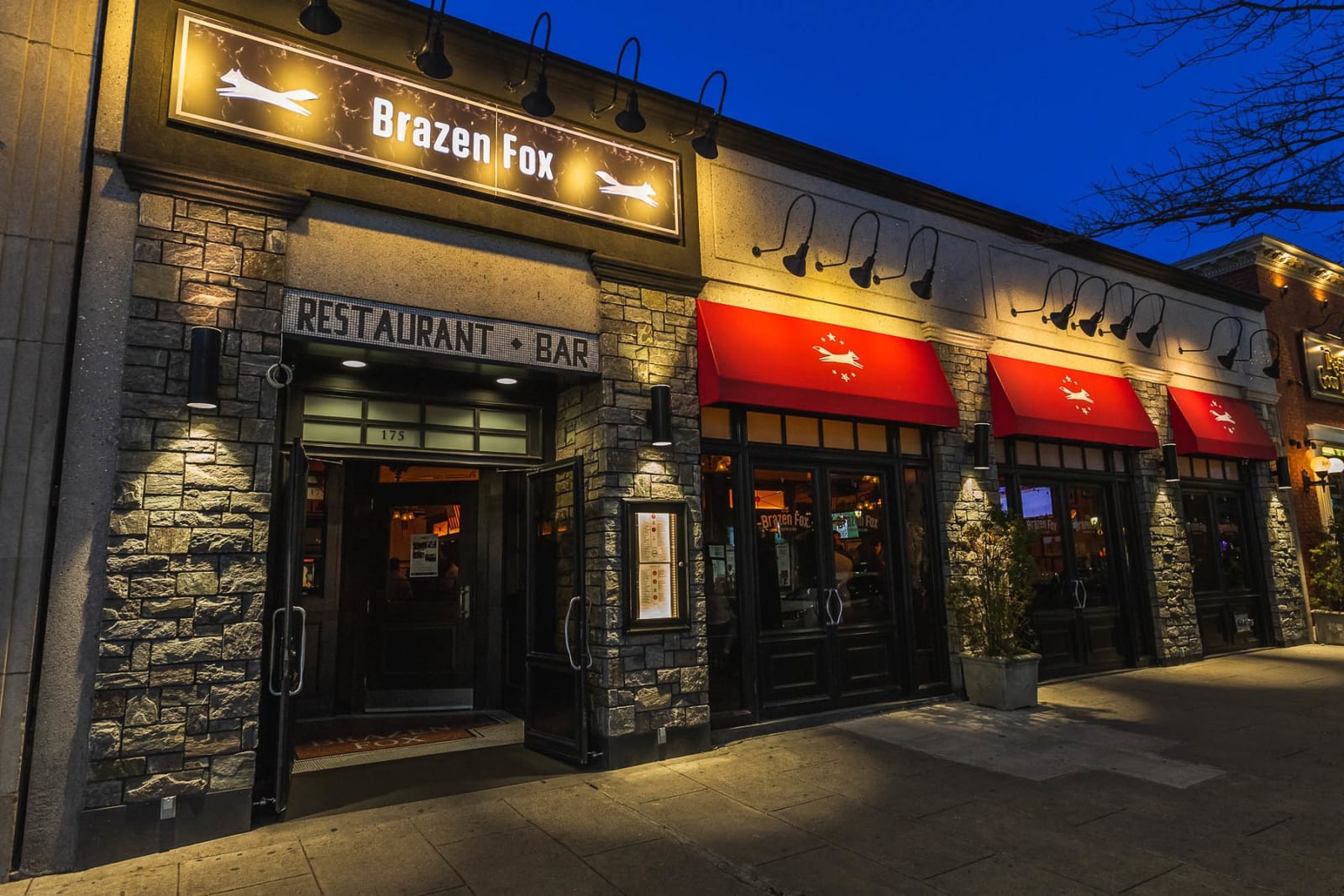 The Brazen Fox