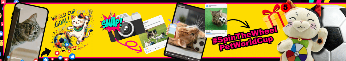 Pet World Cup Contest