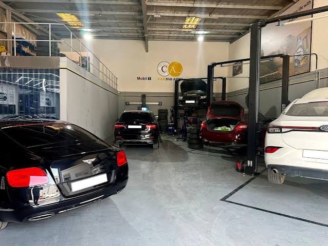 Cardio Auto
