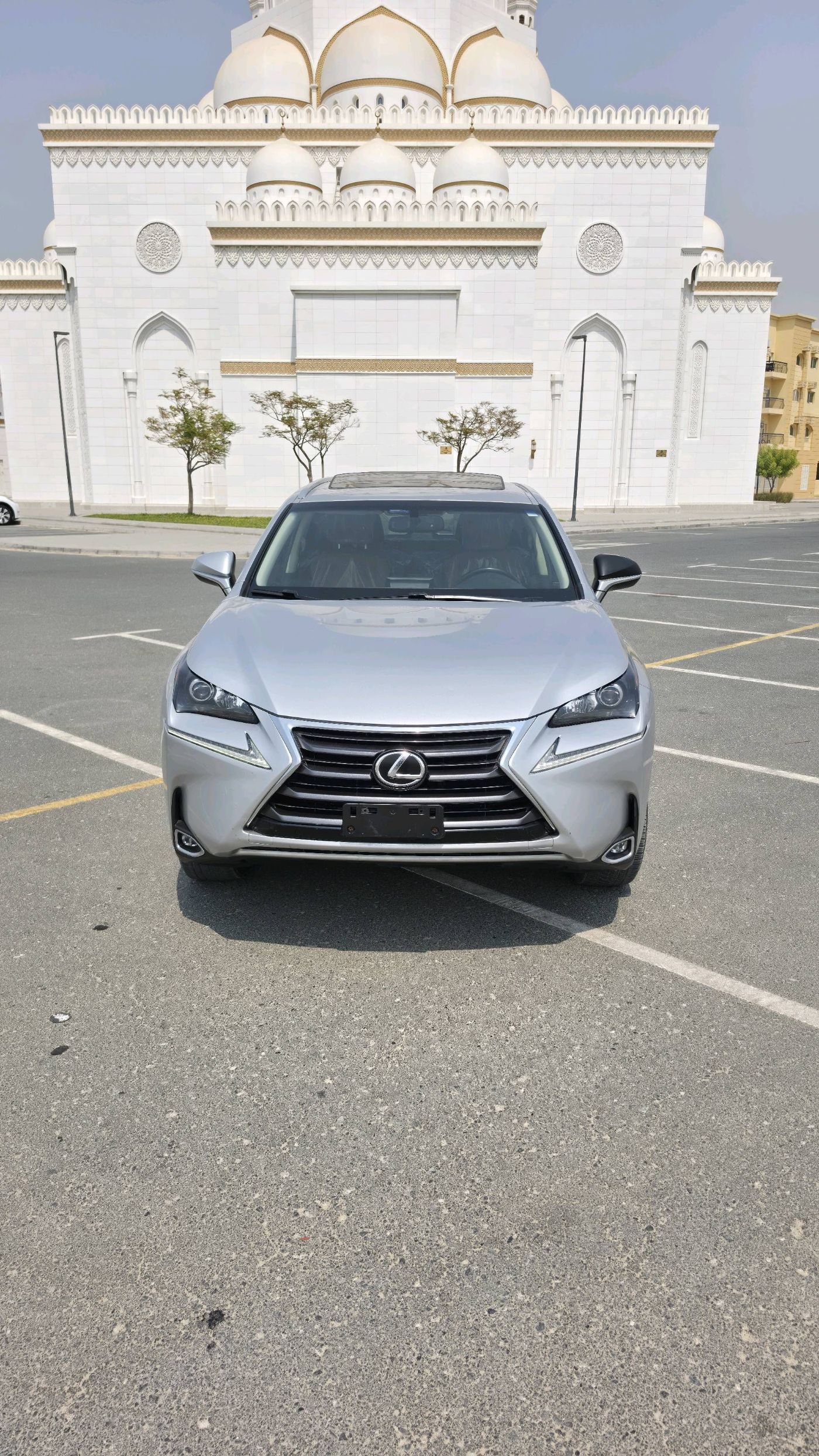 Lexus NX photo 2