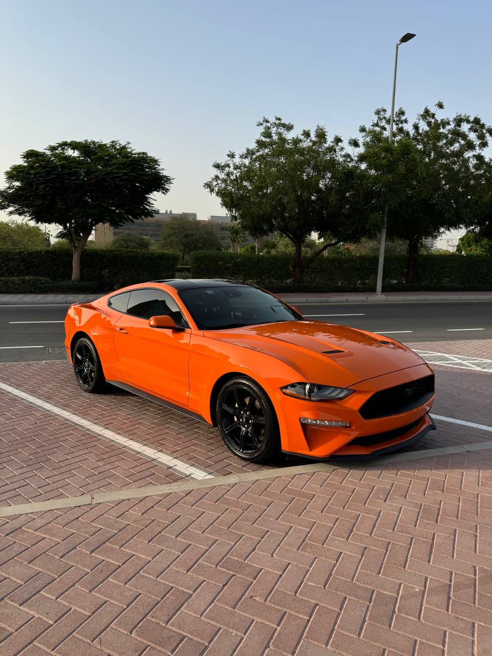 Ford Mustang photo 2