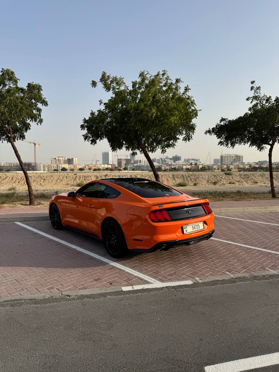 Ford Mustang photo 3