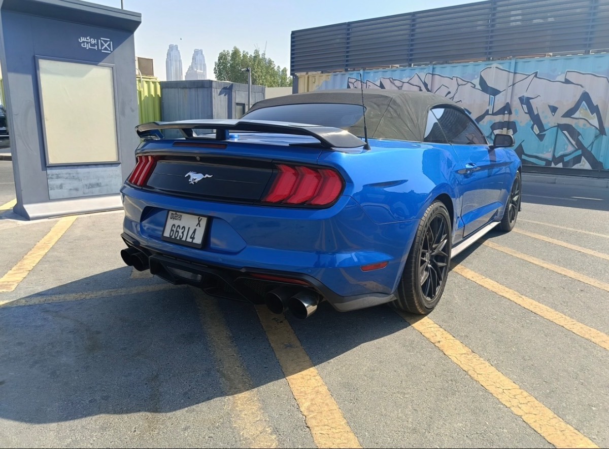 Ford Mustang photo 3