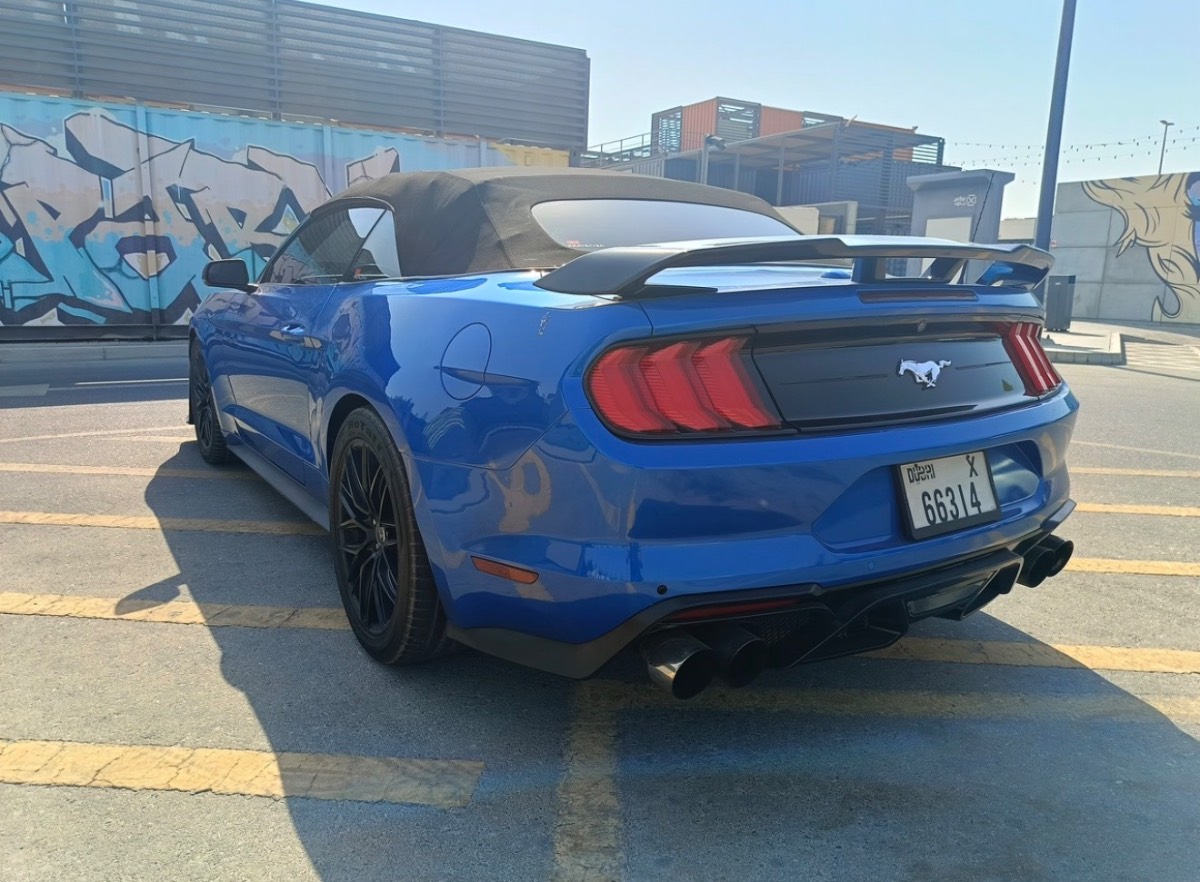 Ford Mustang photo 5