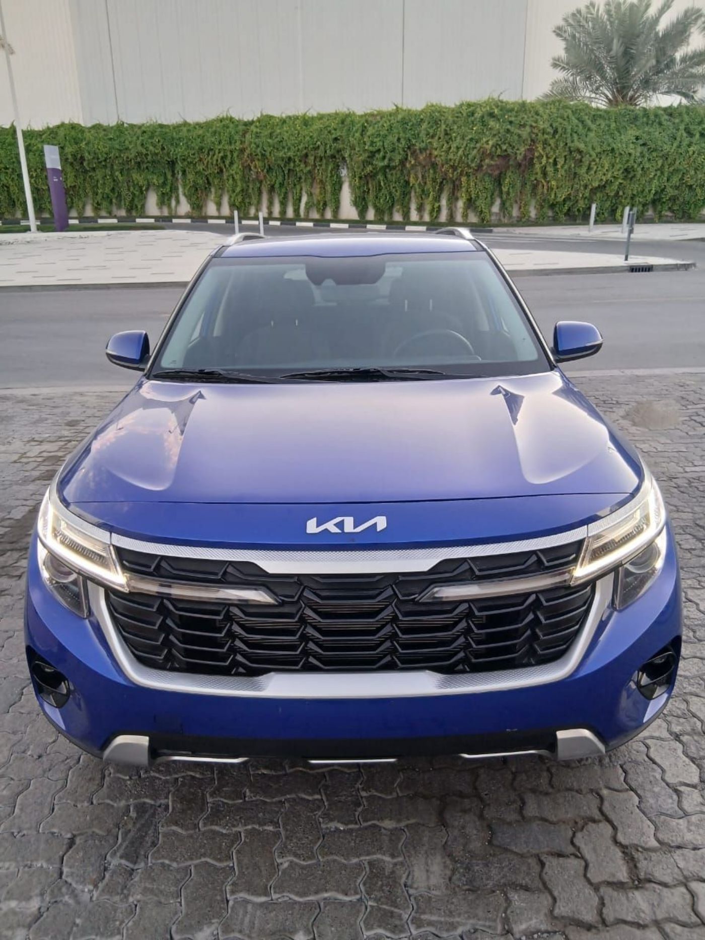 Kia Seltos photo 11