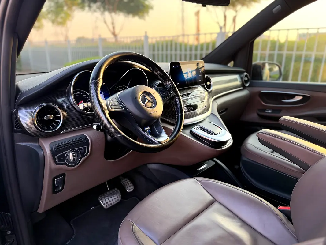 Mercedes-Benz V Class V 250 photo 10