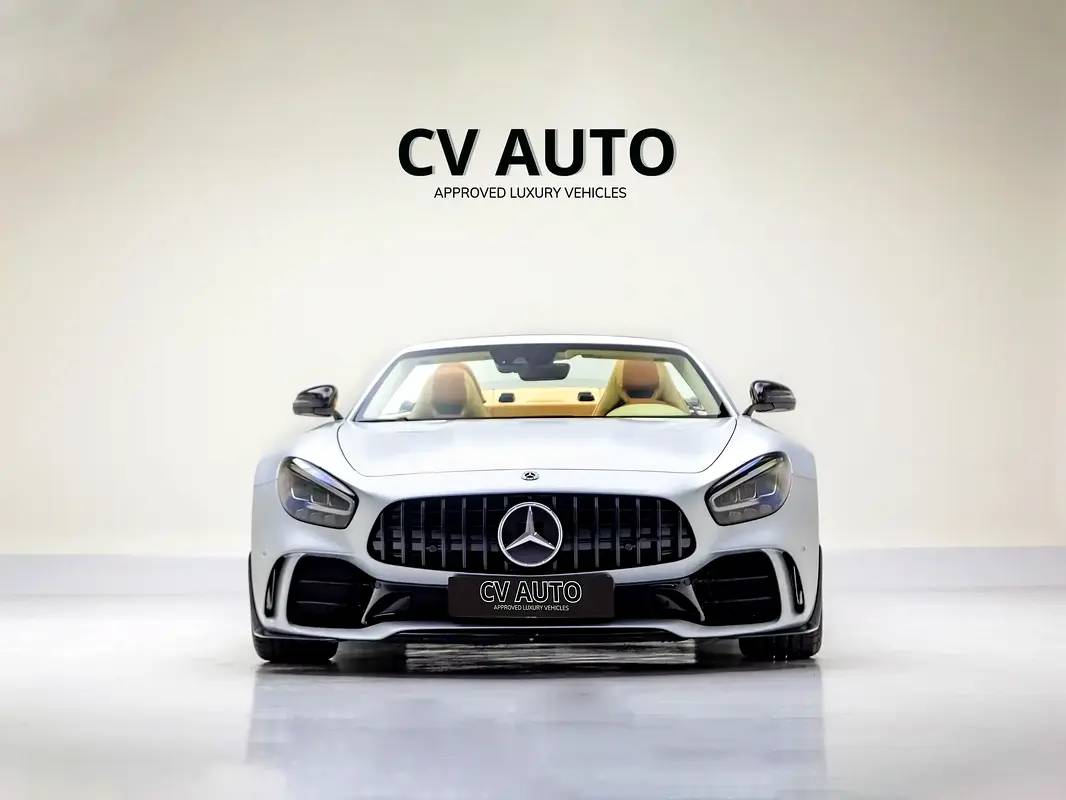 Mercedes-Benz AMG AMG-GT R photo 2