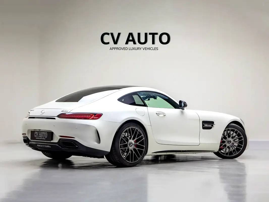 Mercedes-Benz AMG AMG-GT C photo 6