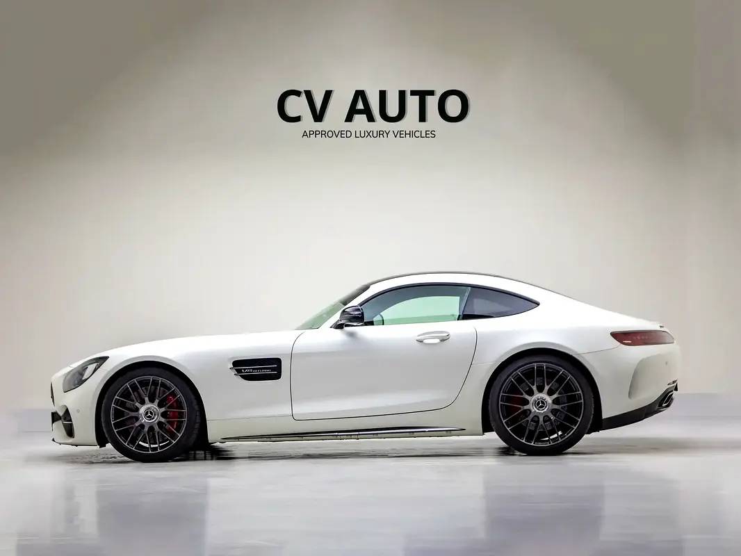 Mercedes-Benz AMG AMG-GT C photo 7