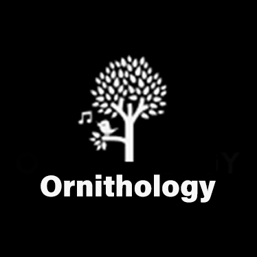 Ornithology Jazz Club logo