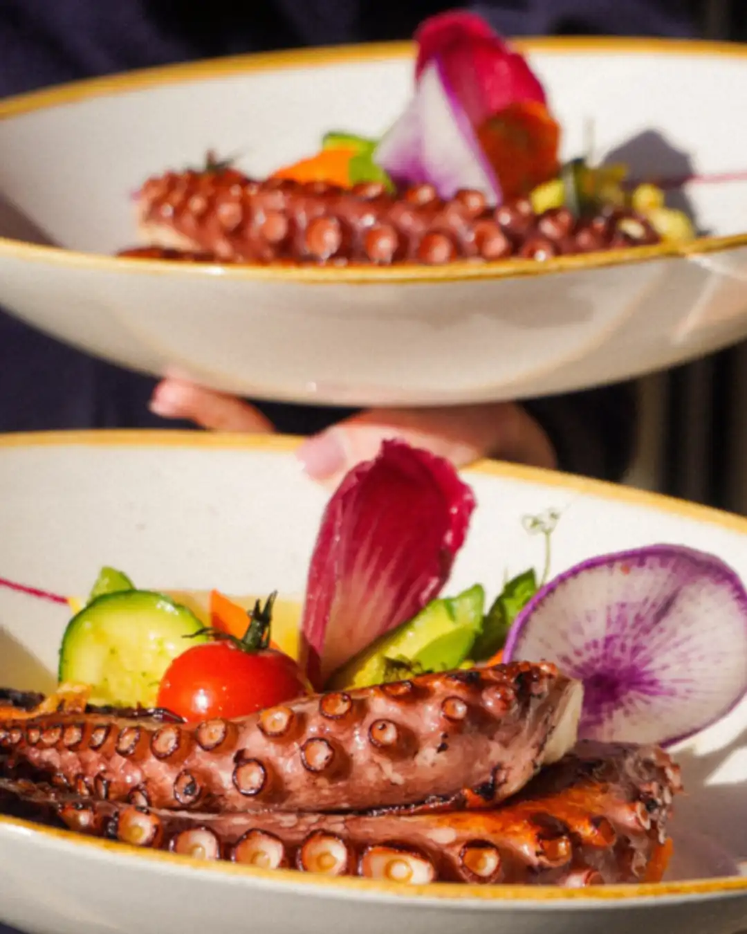 Trattoria Quattro — Image de couverture