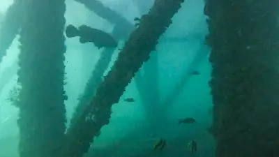 Dive site photo 2