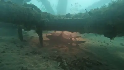 Dive site photo 6