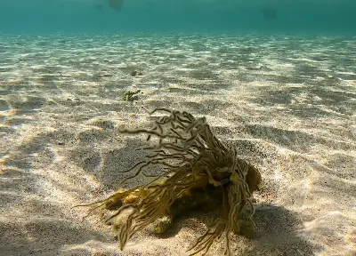 Dive site photo 2