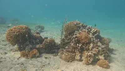 Dive site photo 3