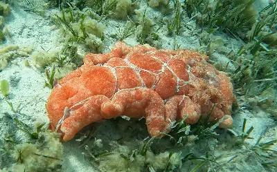 Dive site photo 1