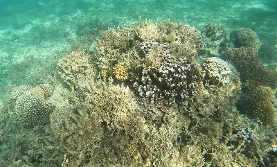 Dive site photo 4