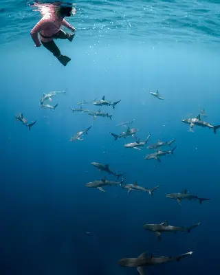 Dive site photo 3