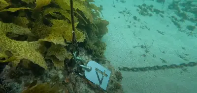 Dive site photo 2