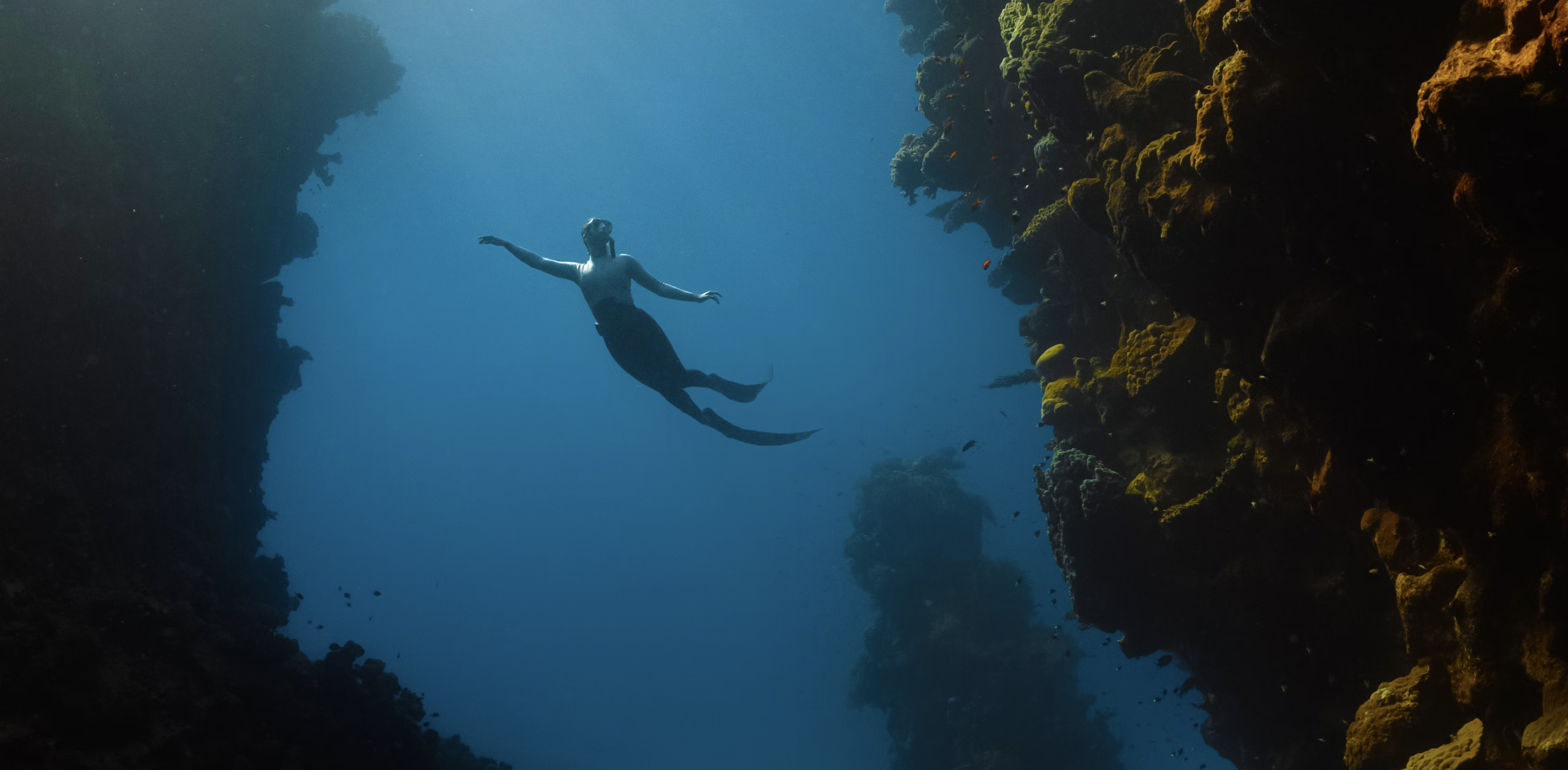 Top 10 Best Dive Spots for Your Next Freediving Adventure