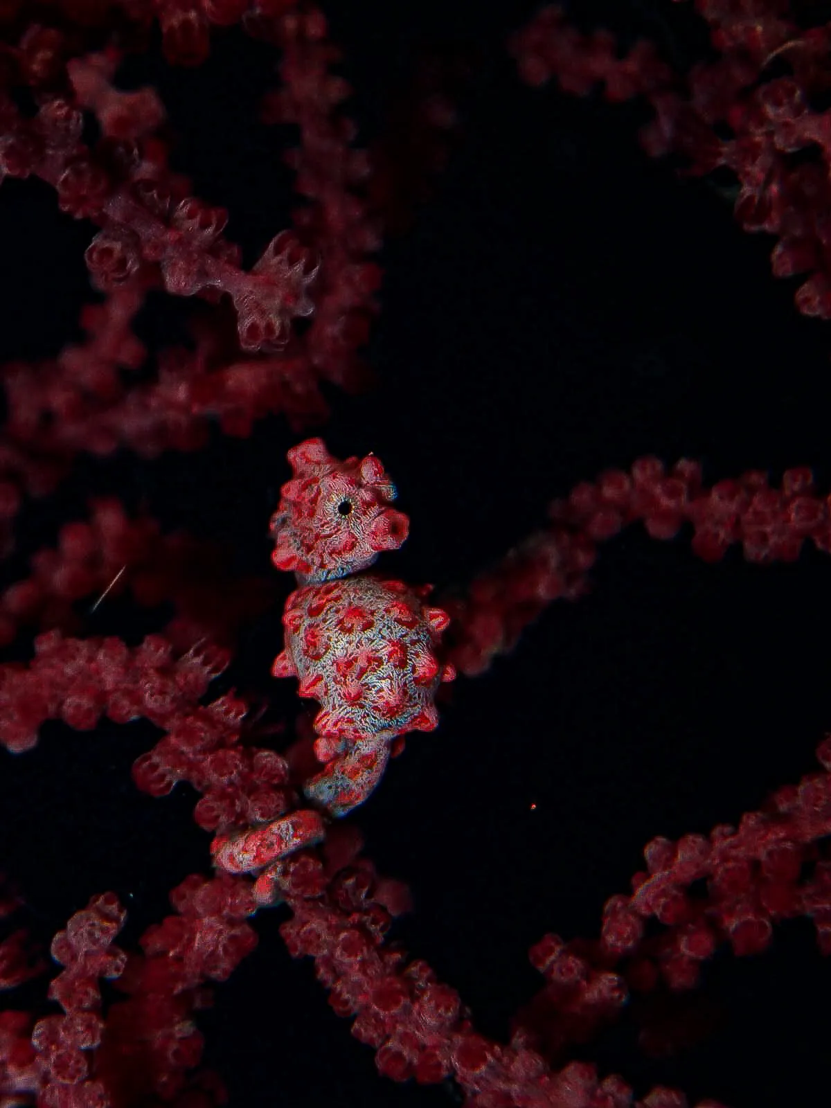 Dive site photo 1