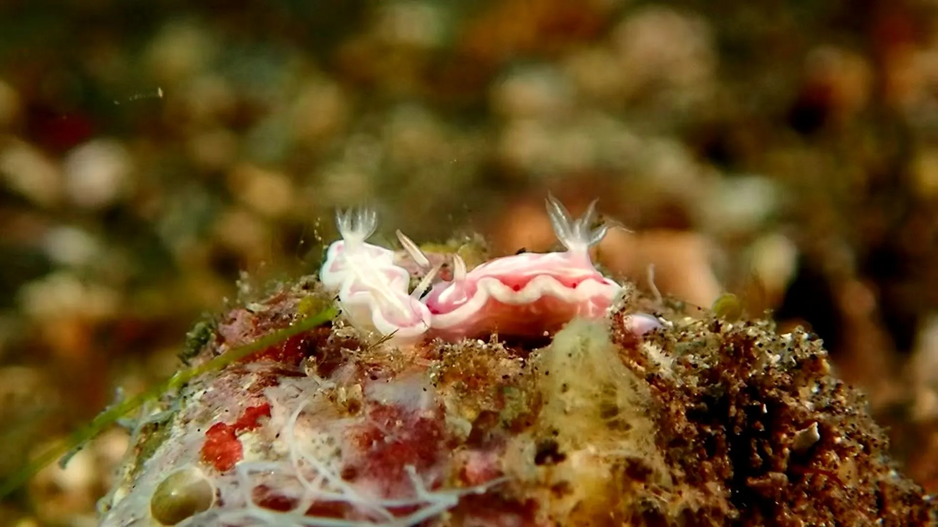 Dive site photo 2