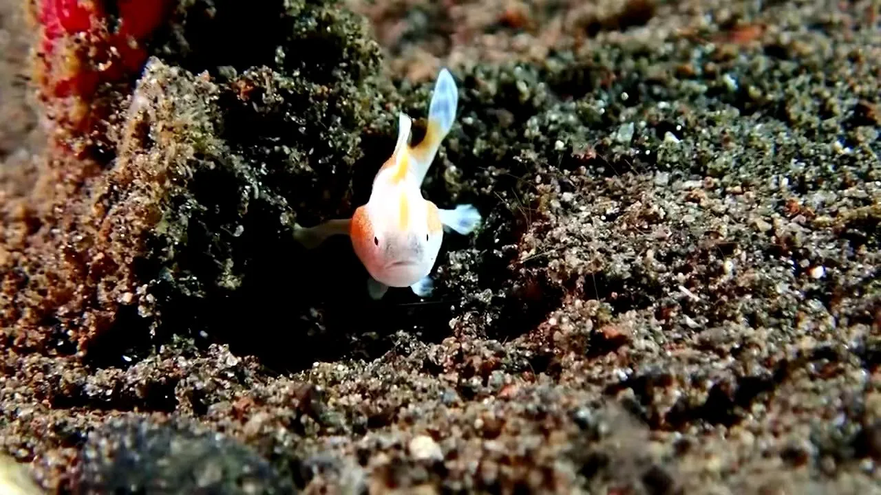 Dive site photo 1