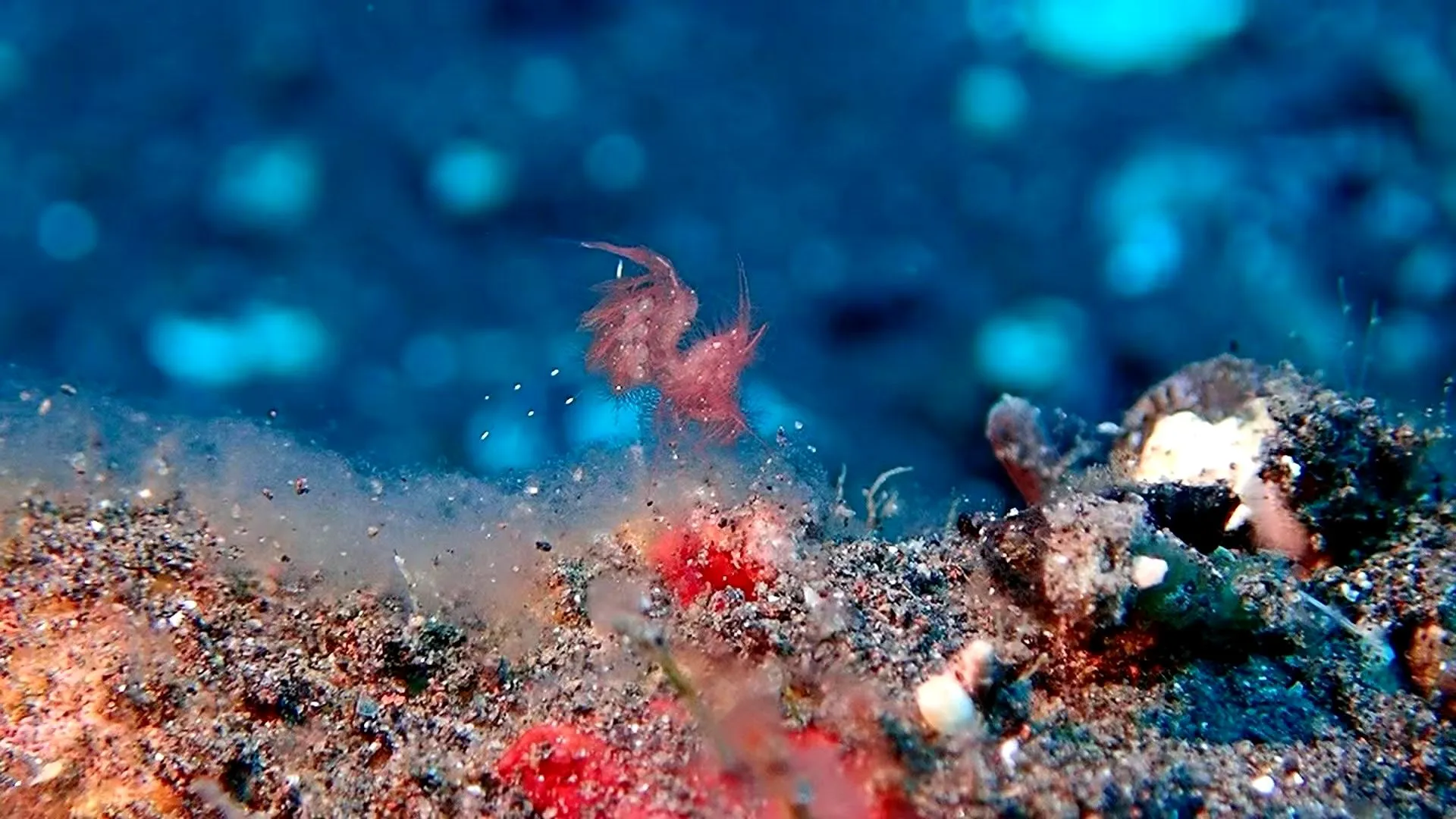 Dive site photo 2